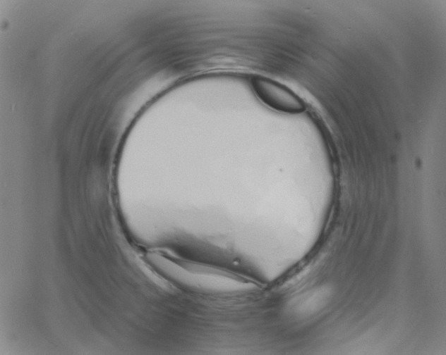 X0000060771333200512082024