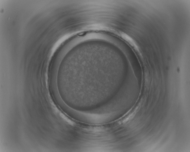 X0000060771334200512082024