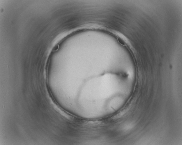 X0000060771335200512082024