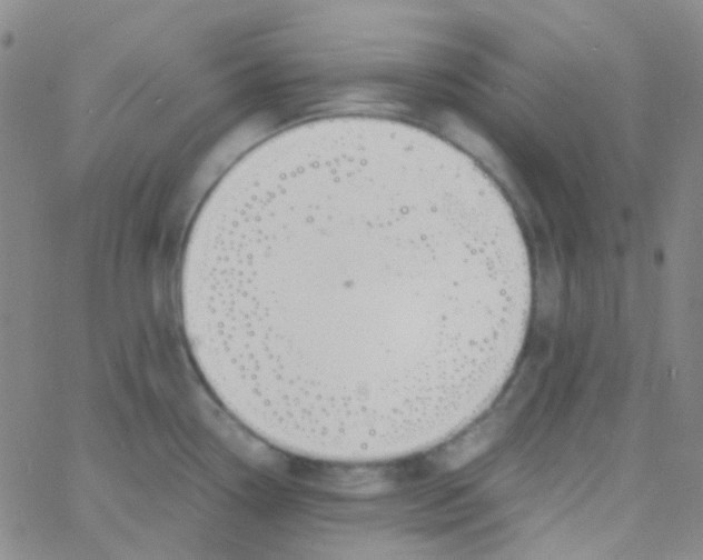 X0000060771338200512082024