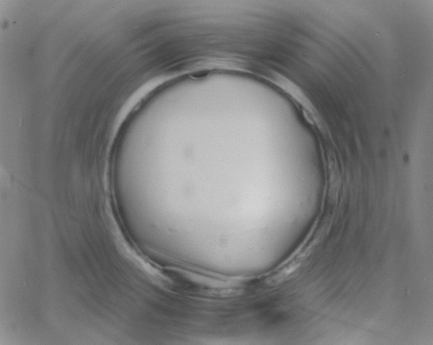 X0000060771339200512082024