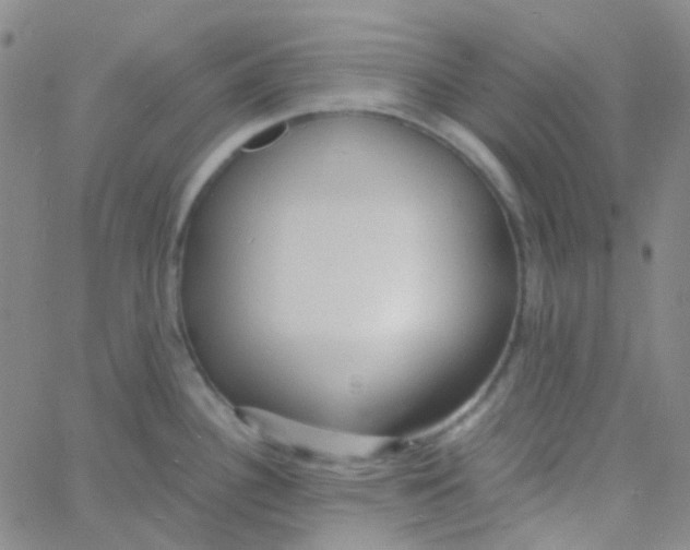 X0000060771340200512082024