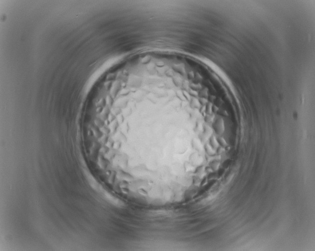 X0000060771341200512082024