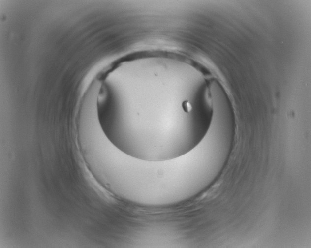 X0000060771344200512082024