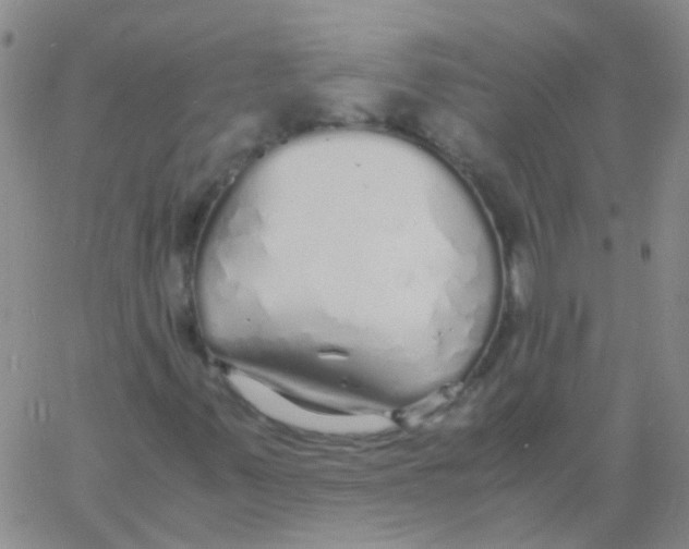 X0000060771347200512082023