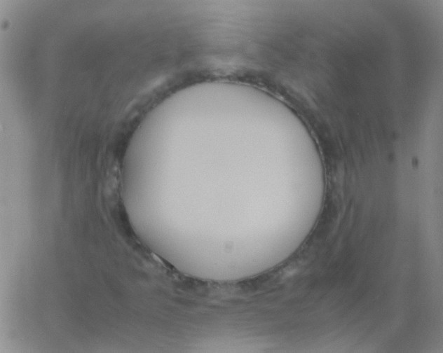 X0000060771349200512082023