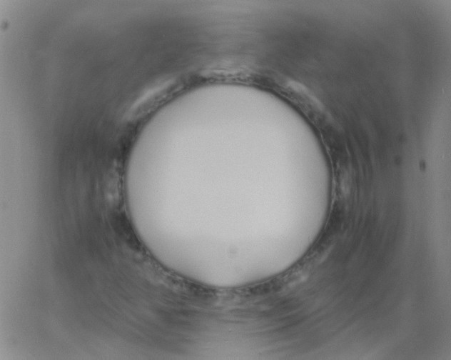 X0000060771350200512082023