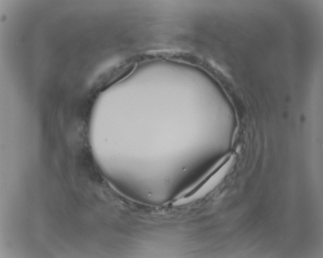 X0000060771351200512082023