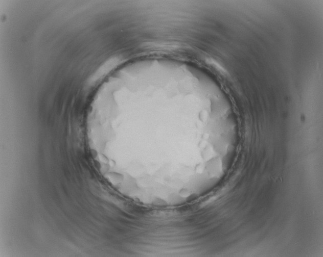 X0000060771354200512082023