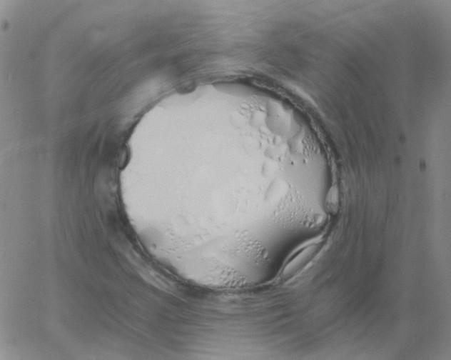 X0000060771355200512082023