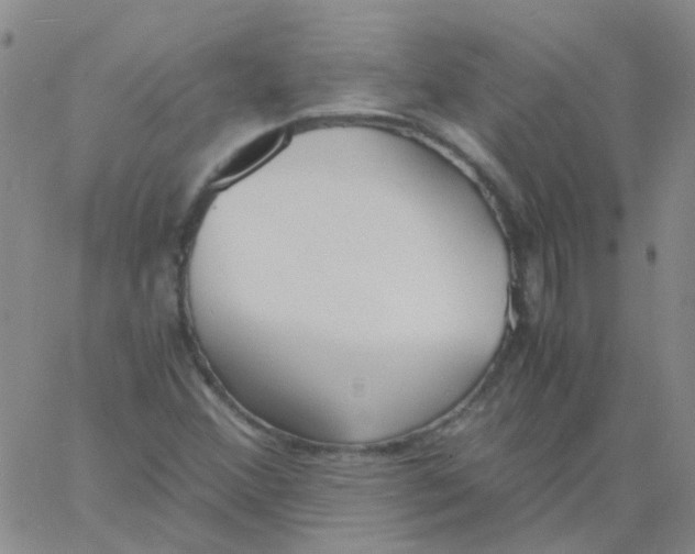 X0000060771356200512082023