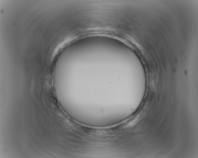 X0000060771357200512082023