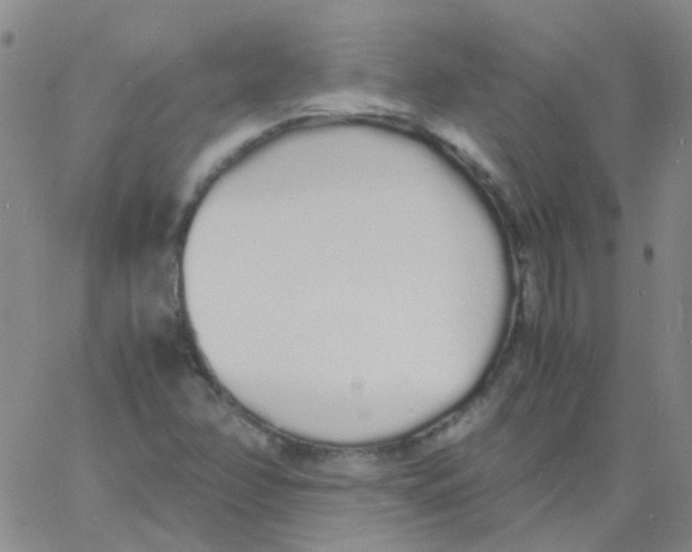 X0000060771358200512082023