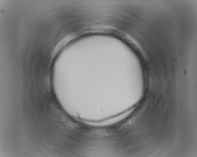 X0000060771362200512082023