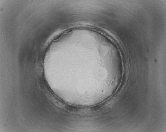 X0000060771363200512082023