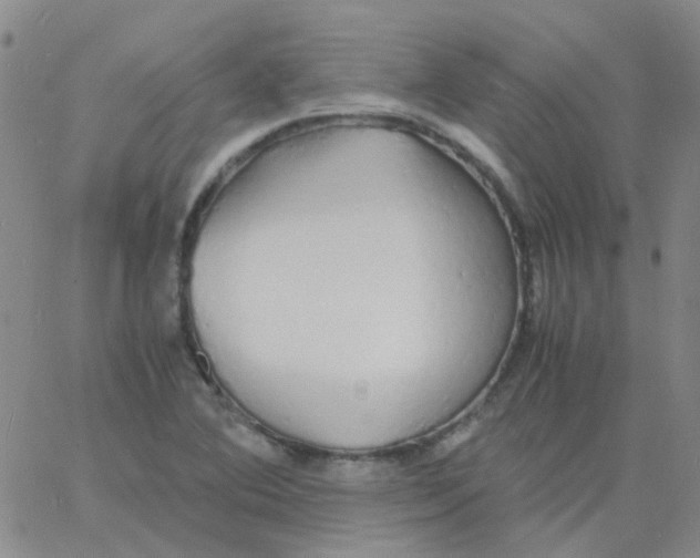 X0000060771364200512082023