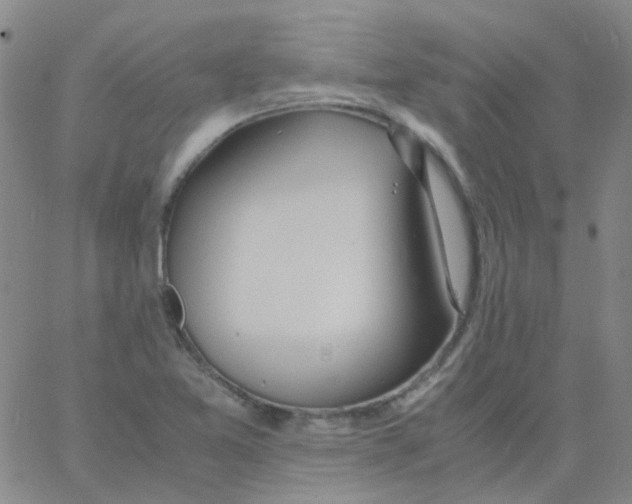 X0000060771365200512082023