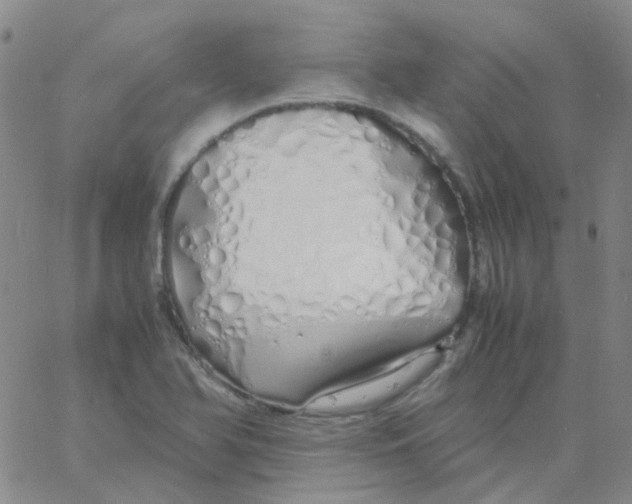 X0000060771366200512082023