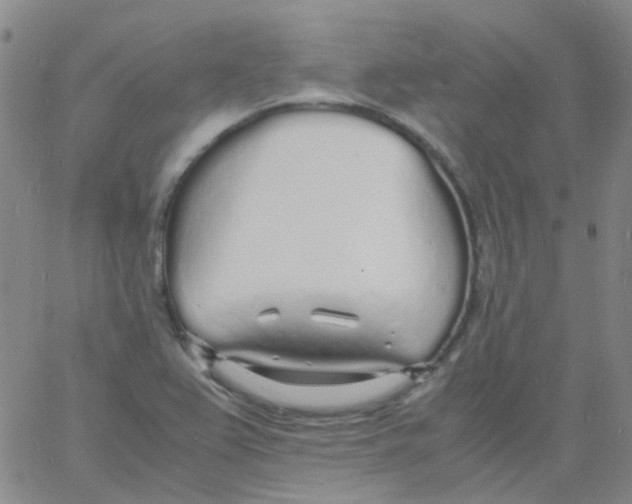 X0000060771367200512082023