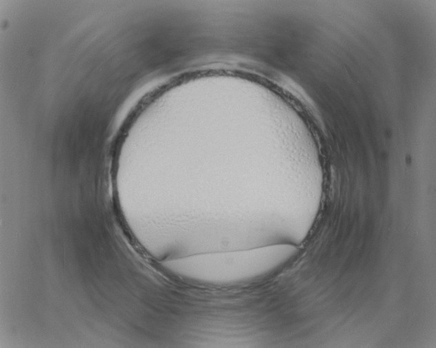 X0000060771368200512082023