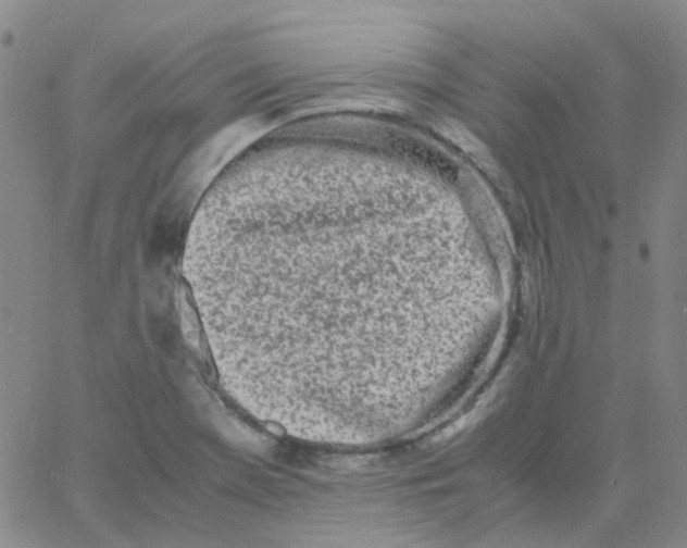 X0000060771369200512082023