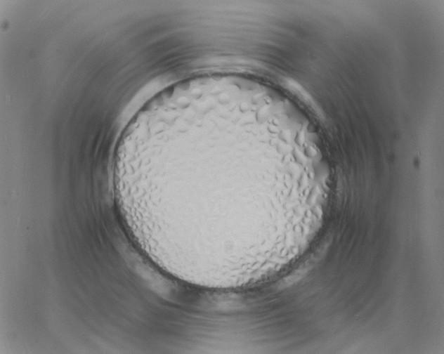 X0000060771370200512082023