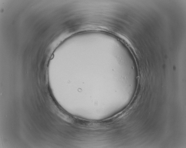 X0000060771371200512082023