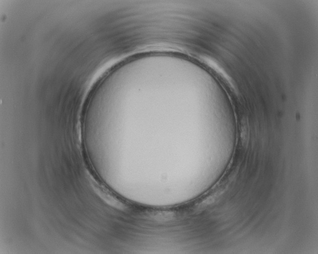 X0000060771372200512082023