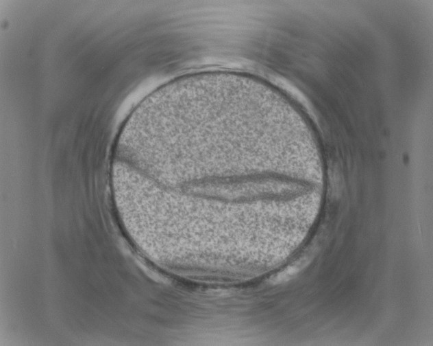 X0000060771373200512082023