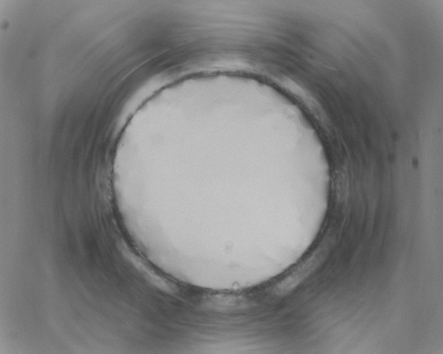 X0000060771374200512082023