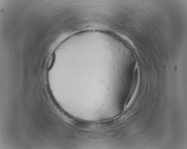 X0000060771375200512082023