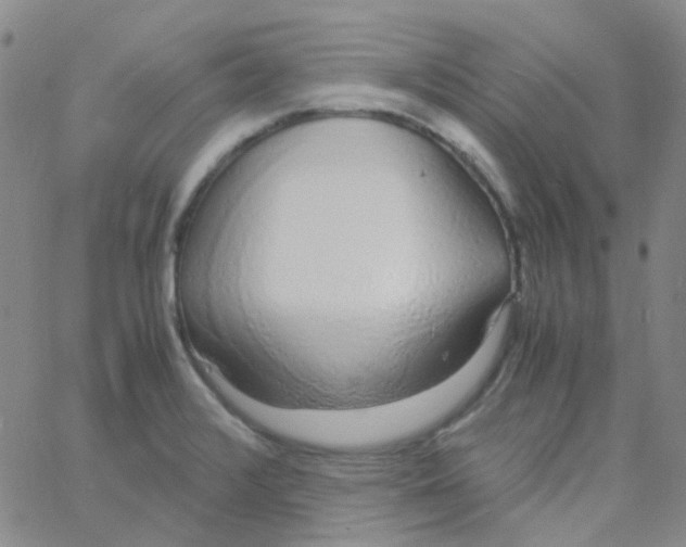 X0000060771376200512082023