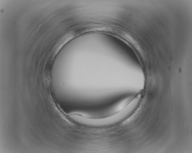 X0000060771377200512082023