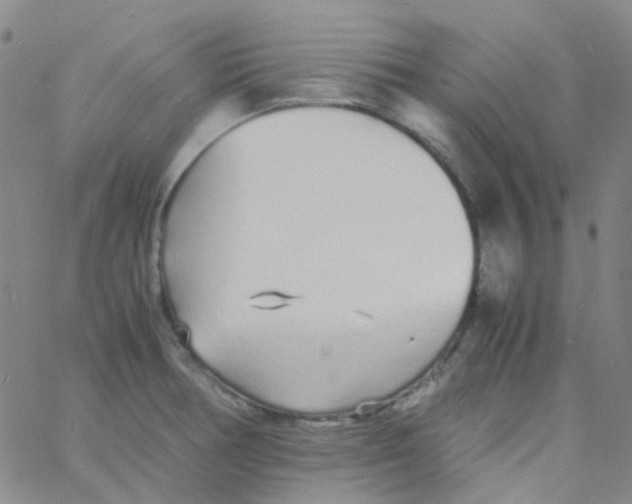 X0000060771378200512082023