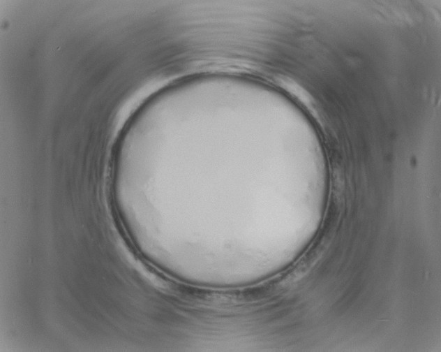 X0000060771379200512082022