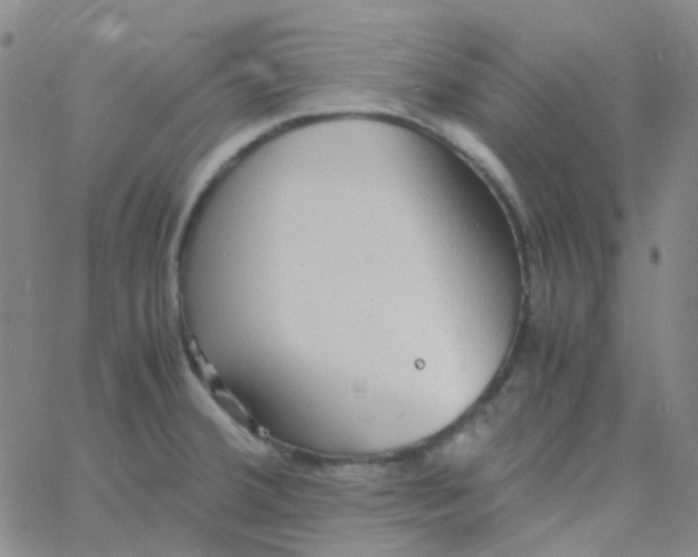 X0000060771380200512082022