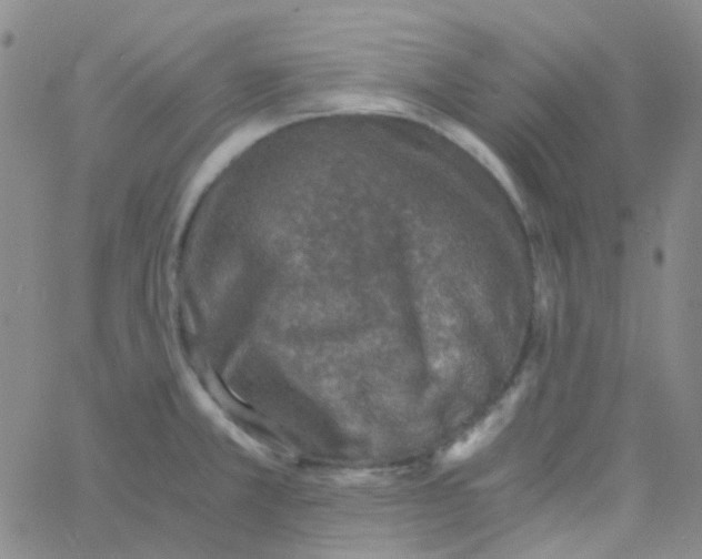 X0000060771381200512082022