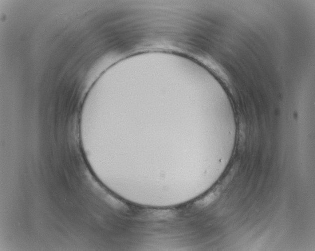 X0000060771382200512082022