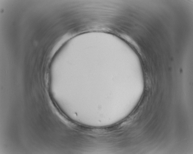 X0000060771383200512082022