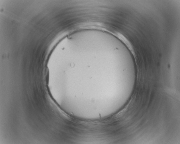 X0000060771384200512082022