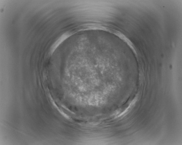 X0000060771385200512082022