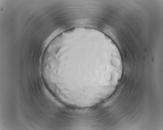 X0000060771386200512082022