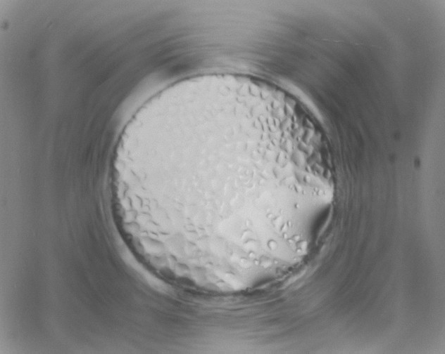 X0000060771387200512082022