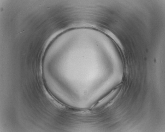 X0000060771388200512082022