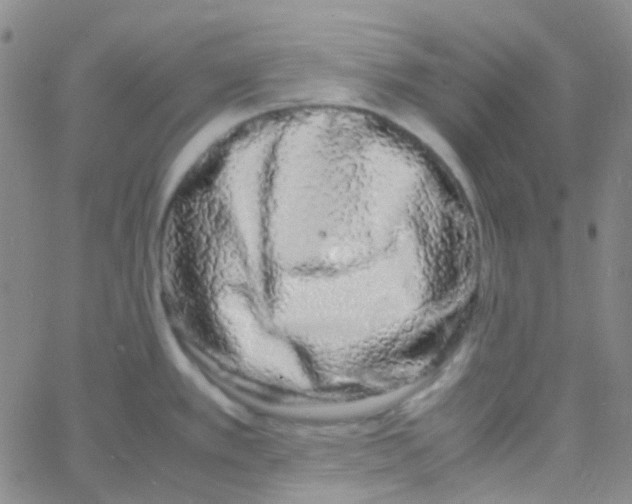 X0000060771389200512082022