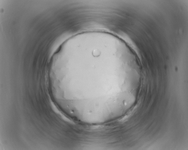 X0000060771390200512082022