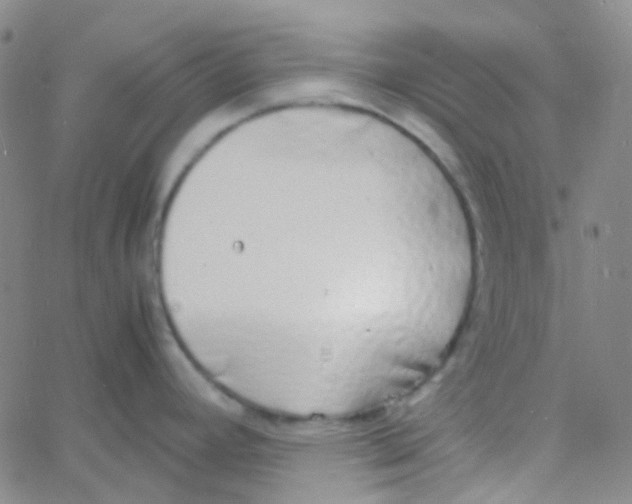 X0000060771392200512082022