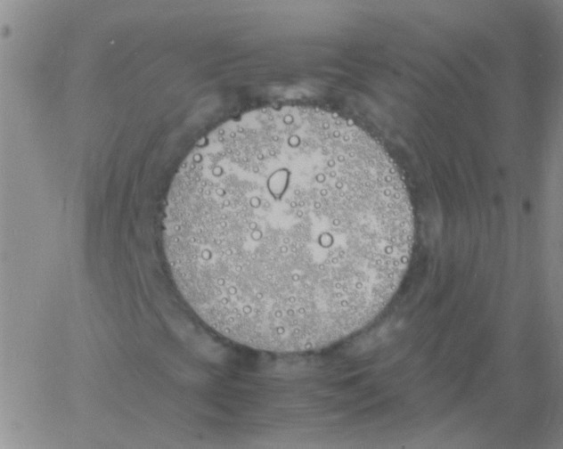 X0000060771393200512082021