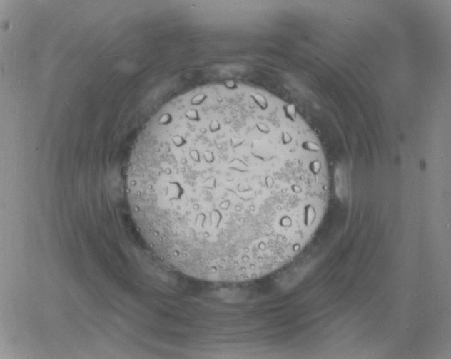 X0000060771395200512082022