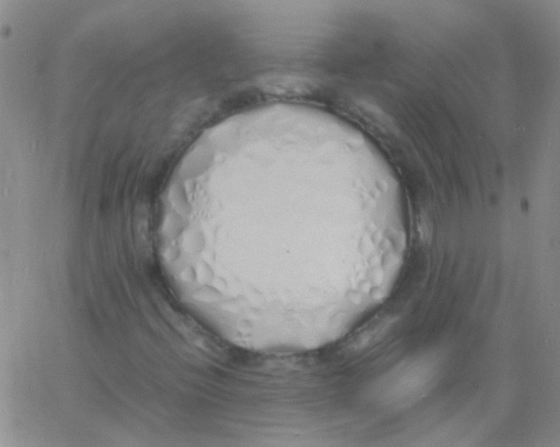 X0000060771396200512082022